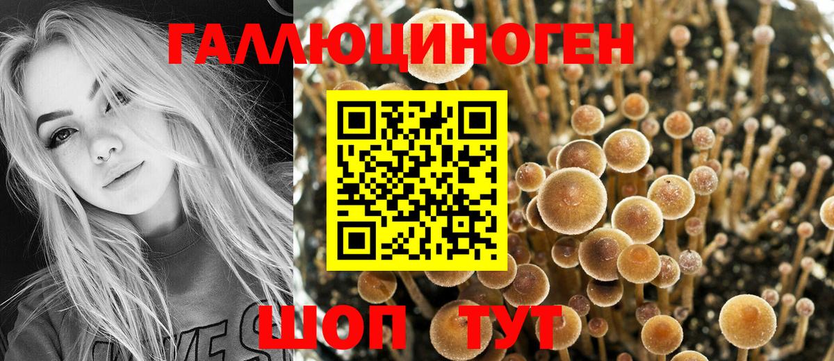 Псилоцибиновые грибы мухоморы Сосновоборск