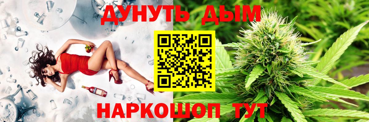 Сосновоборск  МАРИХУАНА план  Вход с VPN  Бошки Шишки White Widow  Каннабис Bruce Banner 